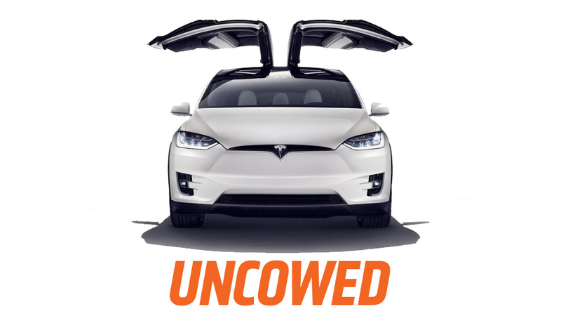 Illustration for article titled PETA Says They Forced Tesla To Build 'Vegan Cars'
